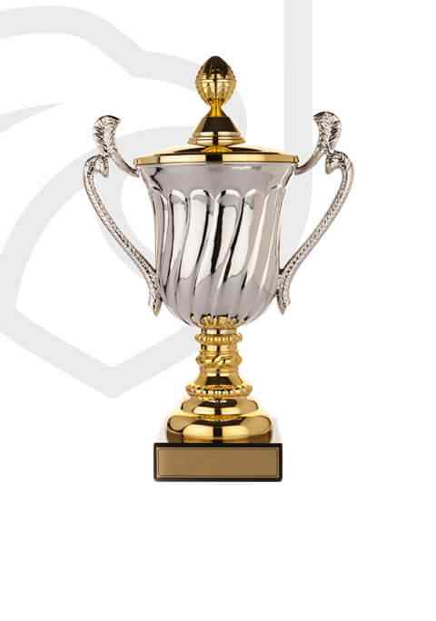 https://netballcaribbean.org/wp-content/uploads/2022/11/trophy_overlay_02.jpg